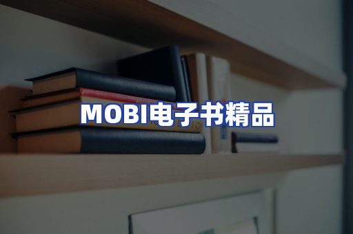 外文电子书产品
